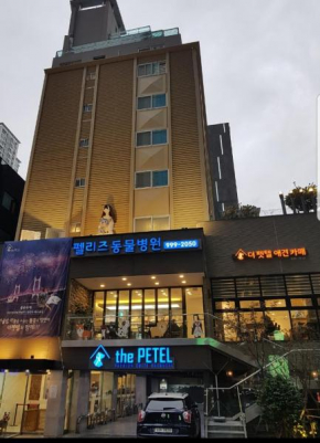 Отель The Petel Premium Suite(with Pet only)  Пусан